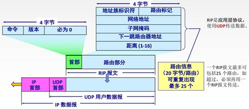 王道考研计算机网络第四章 网络层——数据转发的核心枢纽